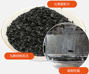 ����Ҭ������̿